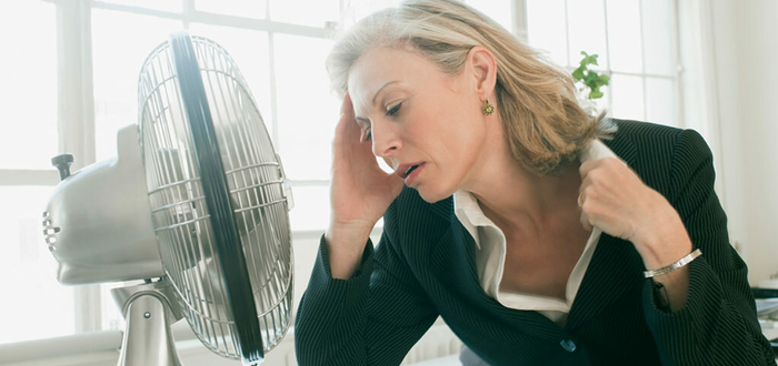 Такие препараты как Климаксан