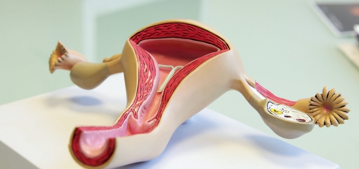 Тошнота во время беременности