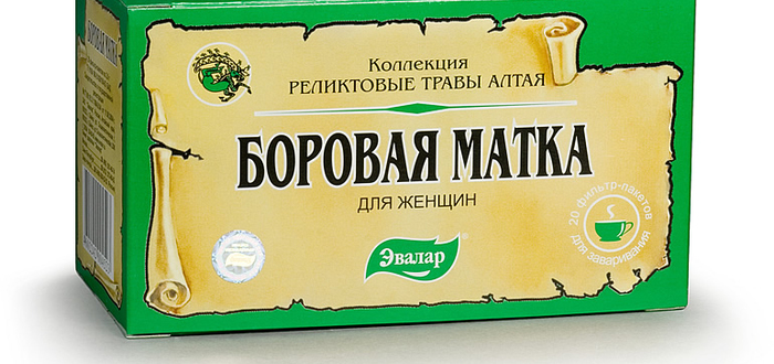 Боровая матка для мужчин