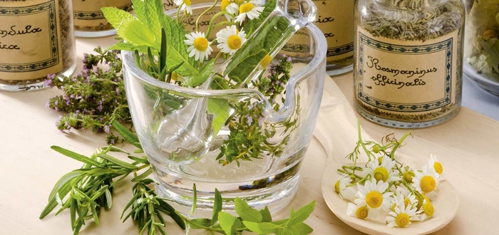 Фиточай для женщин с боровой маткой