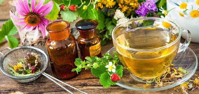 Фитотерапия при бесплодии