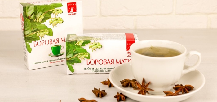 Что лечит боровая матка у женщин?
