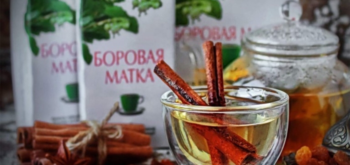 Лечение простатита боровой маткой