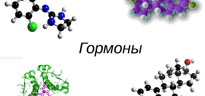 Боровая матка для женщин