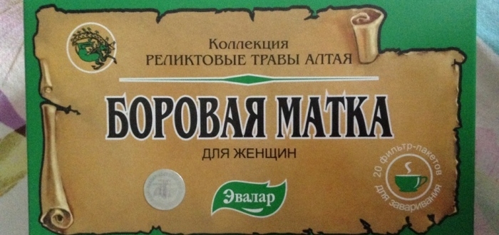 Боровая матка для женщин