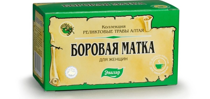 Можно пить боровую матку мужчине?