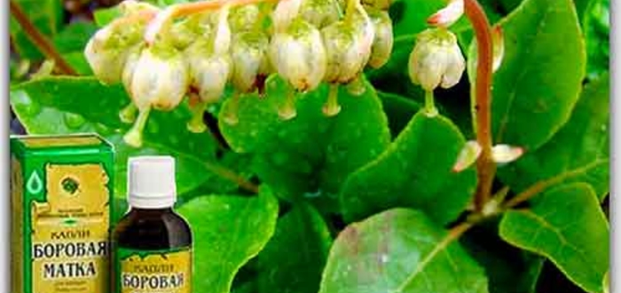 Давайте же разберемся