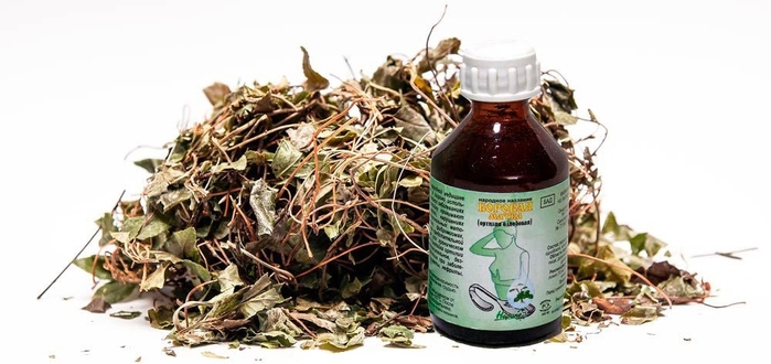 Лечение миомы боровой маткой