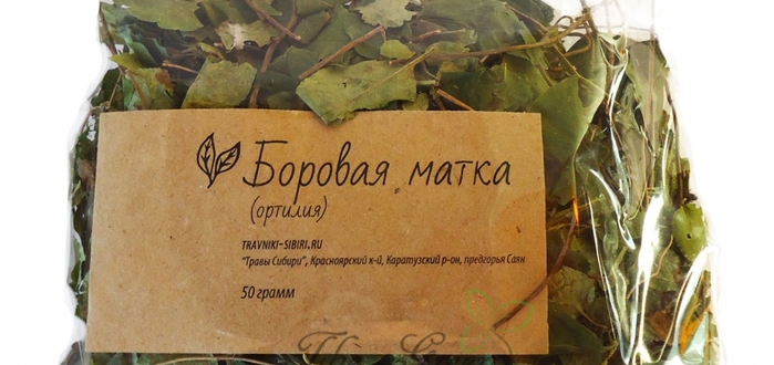 Спиртовая настойка боровой матки