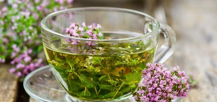 Какие травы помогают при бесплодии женском?