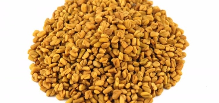 Особое внимание уделяется