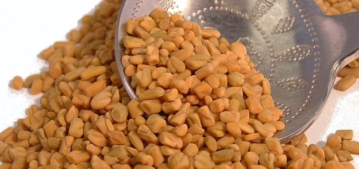 Особое внимание уделяется