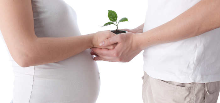 Обратите внимание