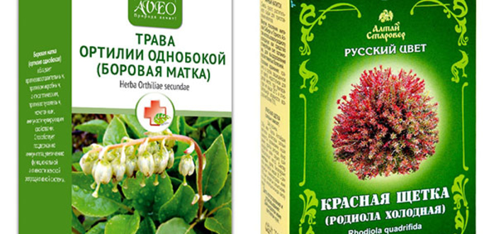 Эндометриоз по расположению делится